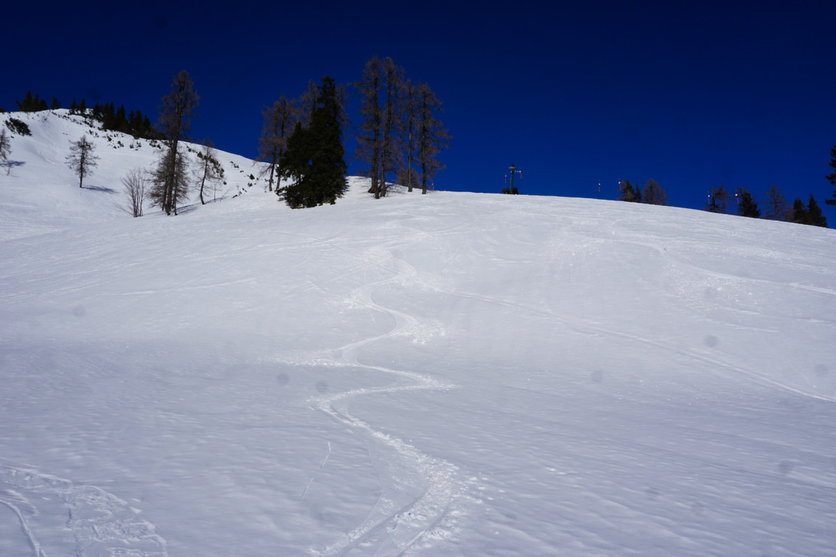 dsc09872j4jnc.jpg