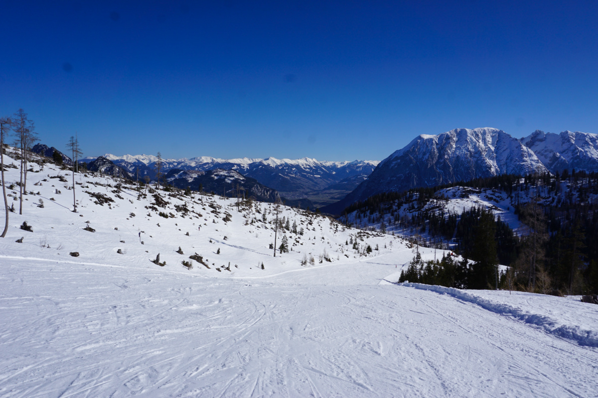 dsc098775akwp.jpg
