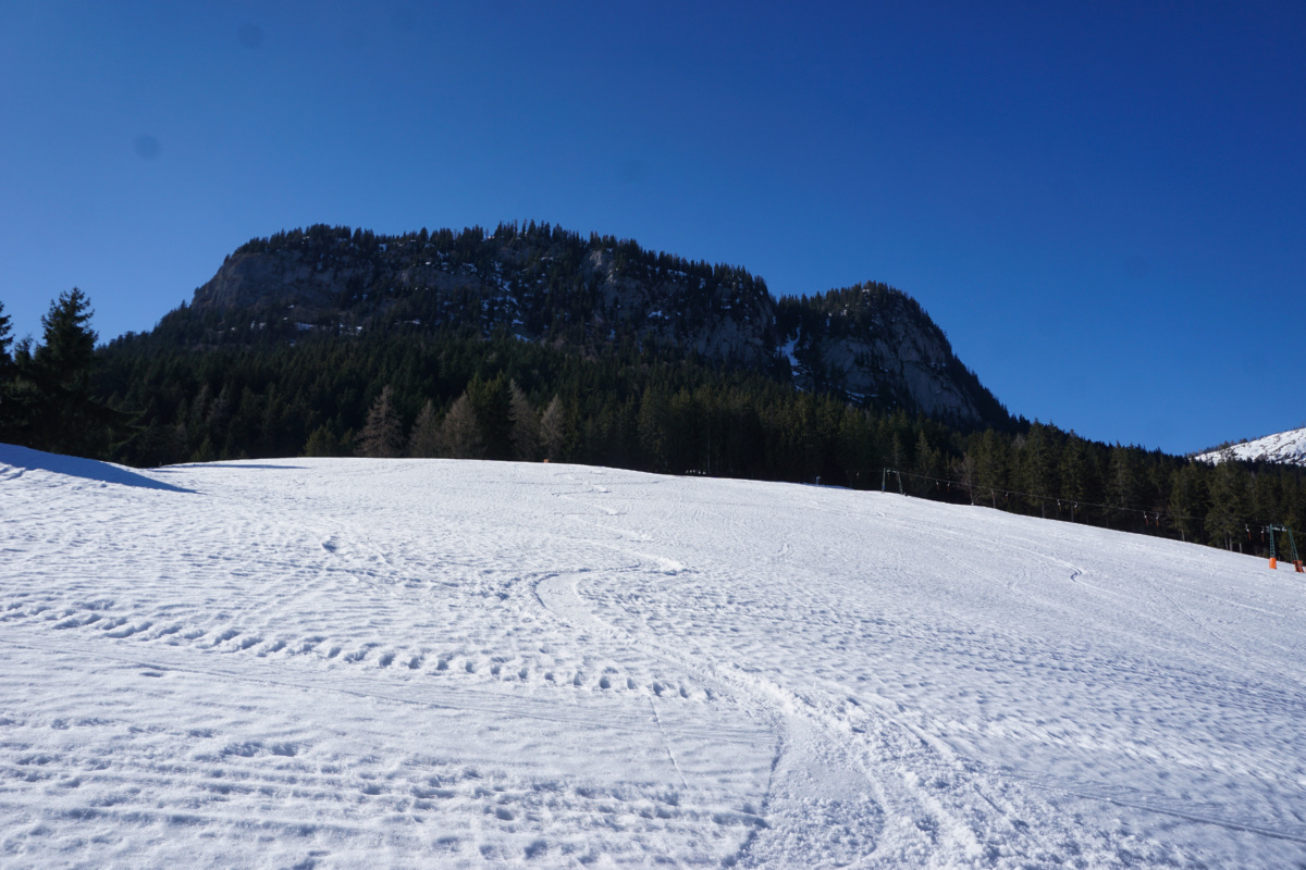 dsc09881hhkgm.jpg