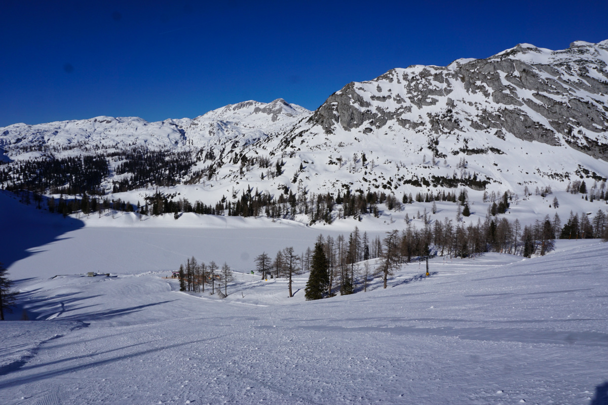 dsc09884xyjwb.jpg