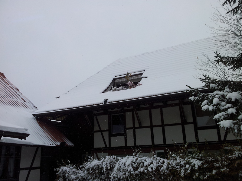 20121028_105514qukpb.jpg