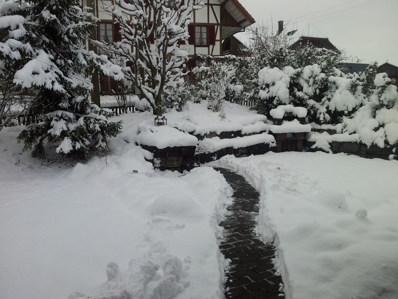 20121208_152640axr0e.jpg