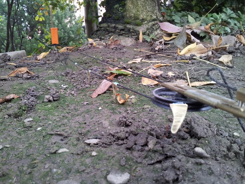 20131002_112135b3ckm2.jpg