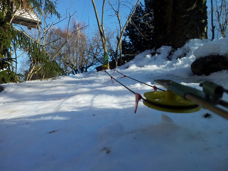 20131130_134302bftcd1.jpg