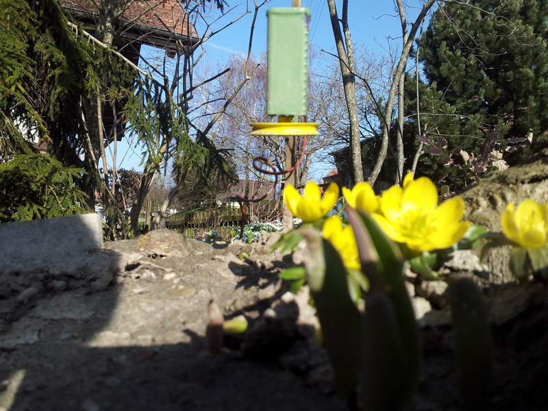 20140310_160203g8kpb.jpg