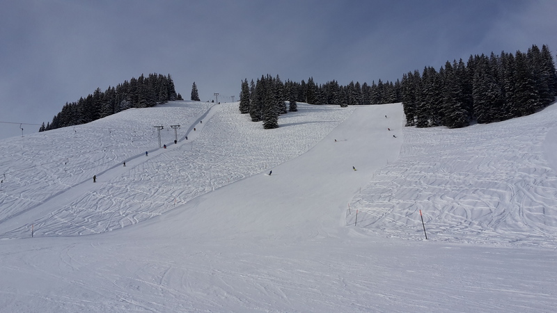 20180204_1054340rrm6.jpg