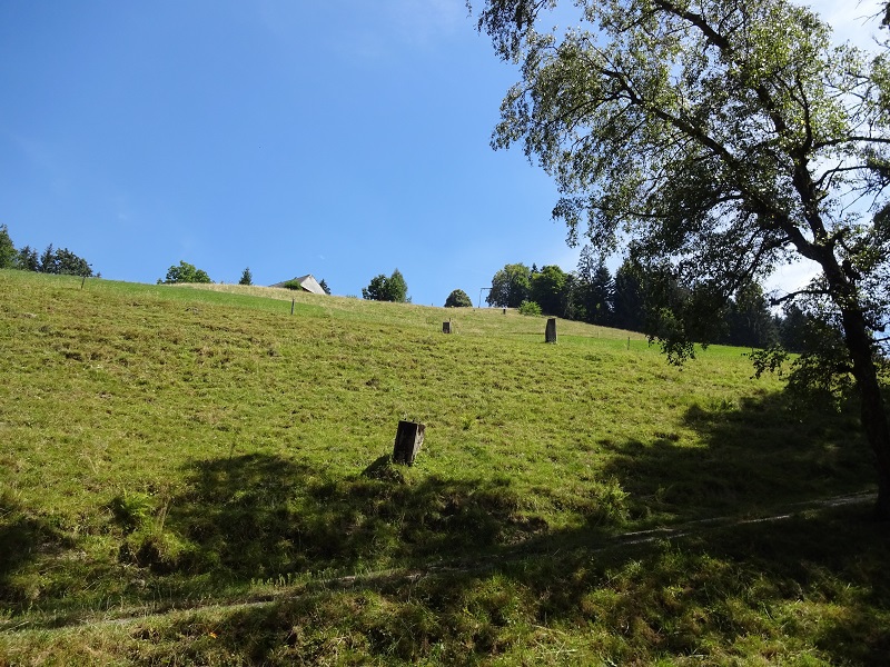 dsc07444dbelg.jpg