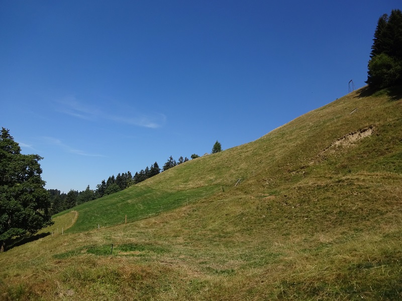 dsc07453q8inw.jpg