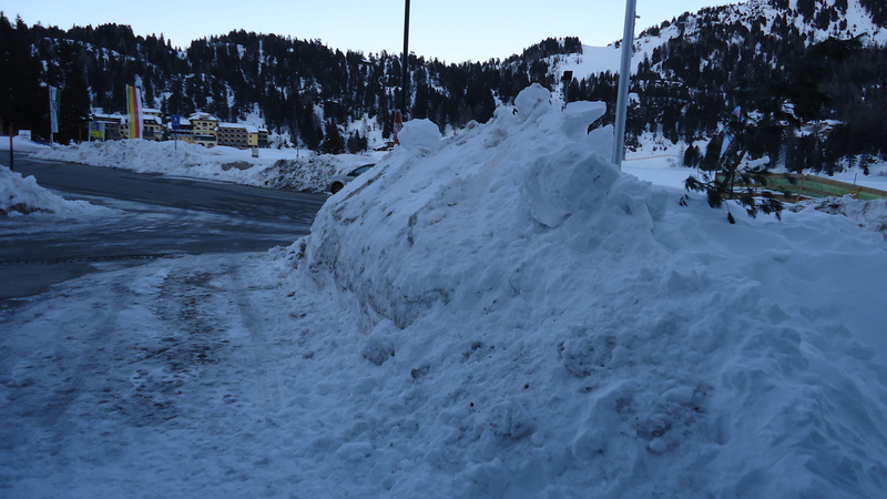dsc02131zzfqu.jpg