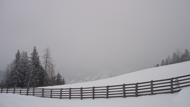 dsc02233sbqmz.jpg