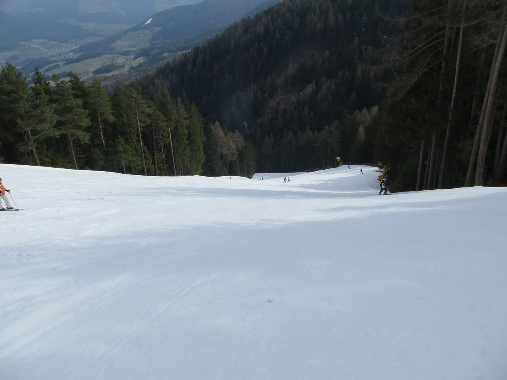 img_0378sgr7m.jpg