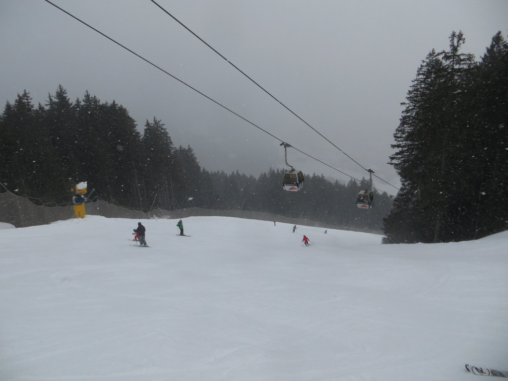 img_3353sge3c.jpg