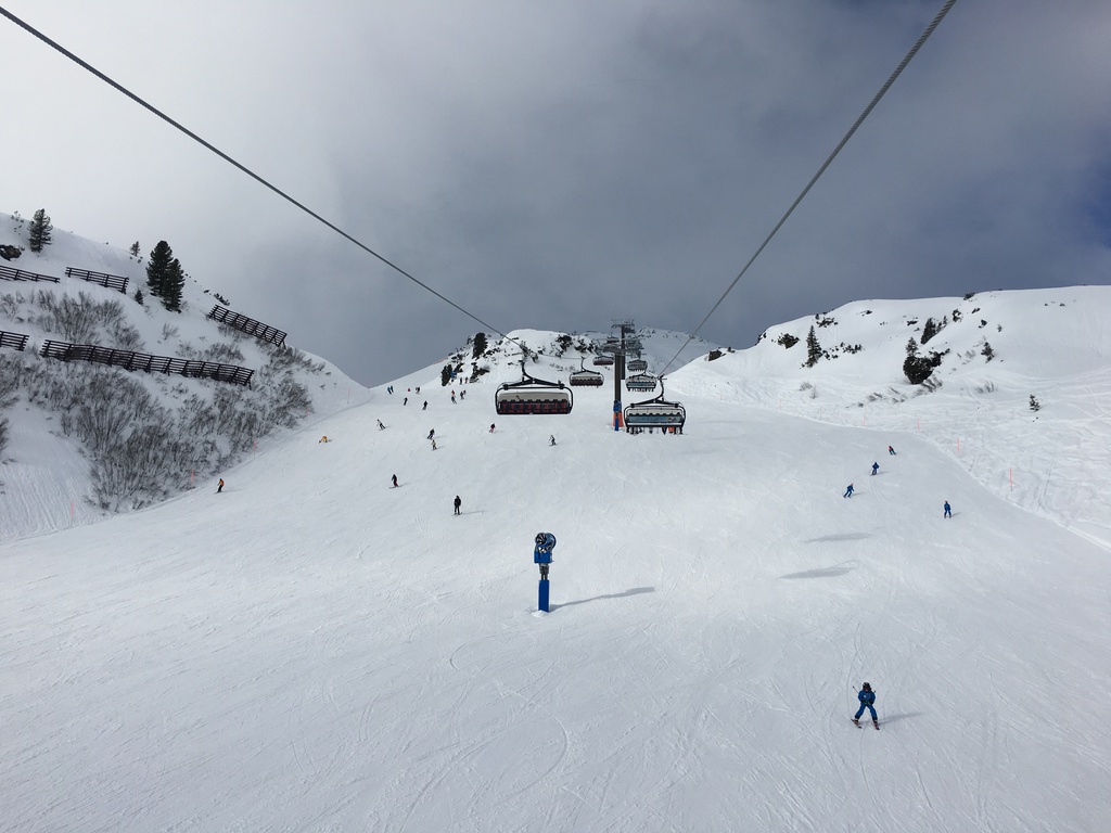 img_52111hjeu.jpg