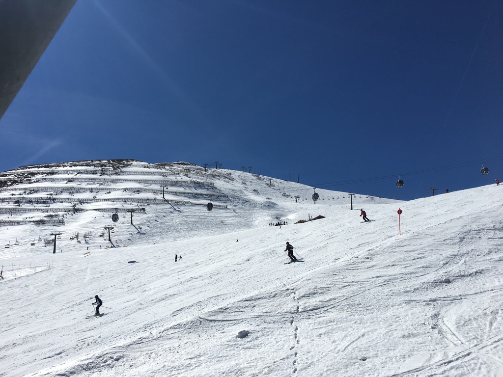 img_8838m0k19.jpg