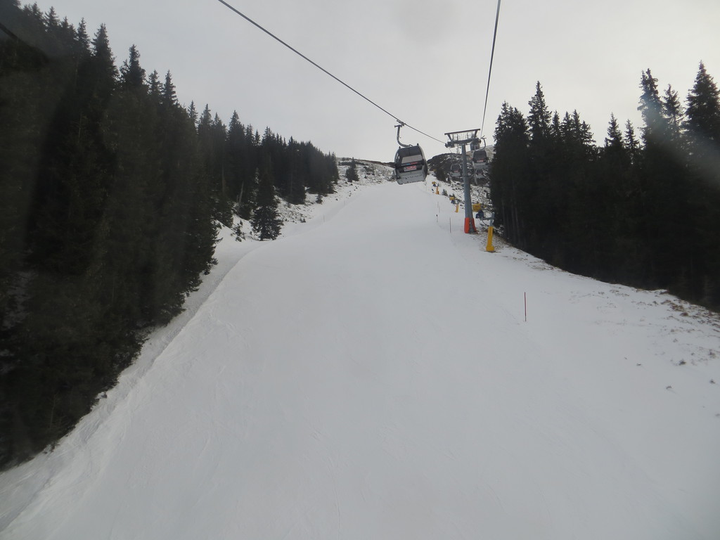 img_94069asbh.jpg