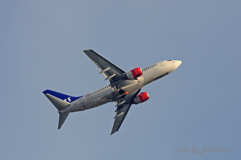_dsc6214ae5sm4.jpg