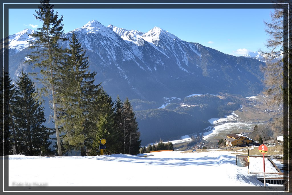 comp_dsc_0137bohm.jpg