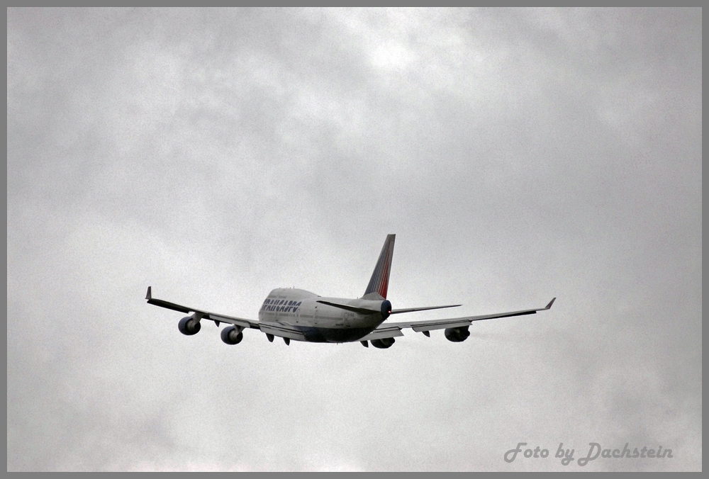 dsc_0895a4zu81.jpg