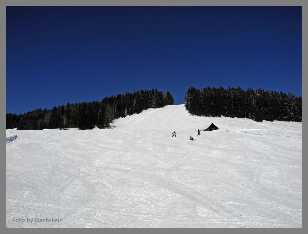 dscn0281a8wzv4.jpg