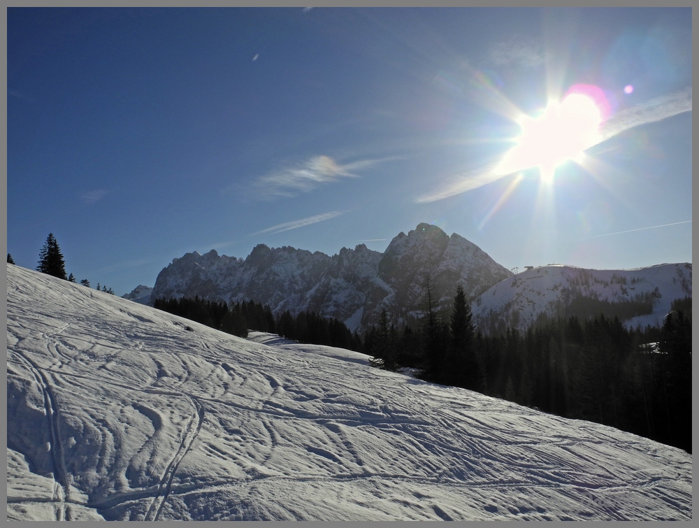 dscn0341afjj4e.jpg