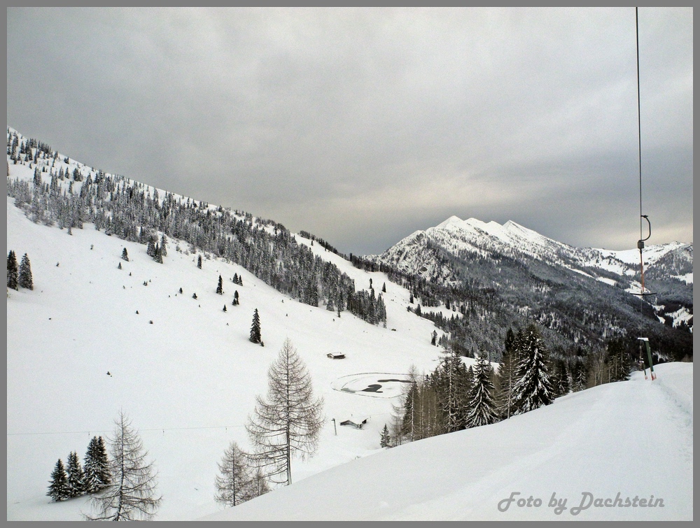 dscn0727axglw4.jpg