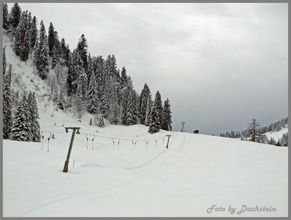 dscn0778a91zu4.jpg