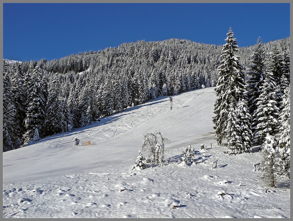 dscn9583a6xcn4.jpg