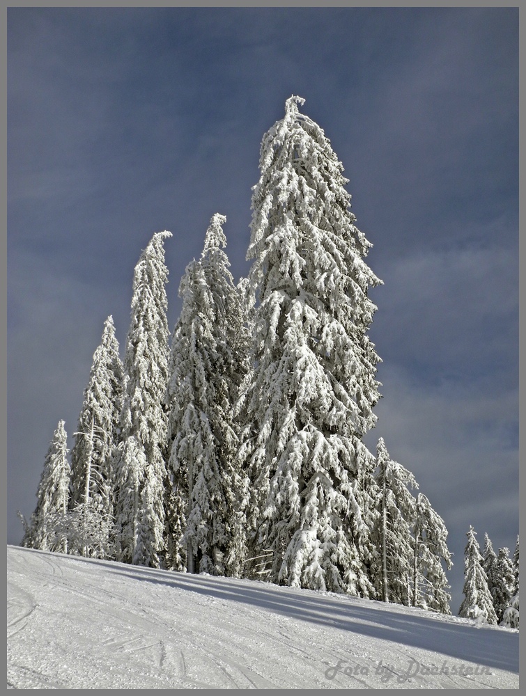 dscn9599ayhof2.jpg