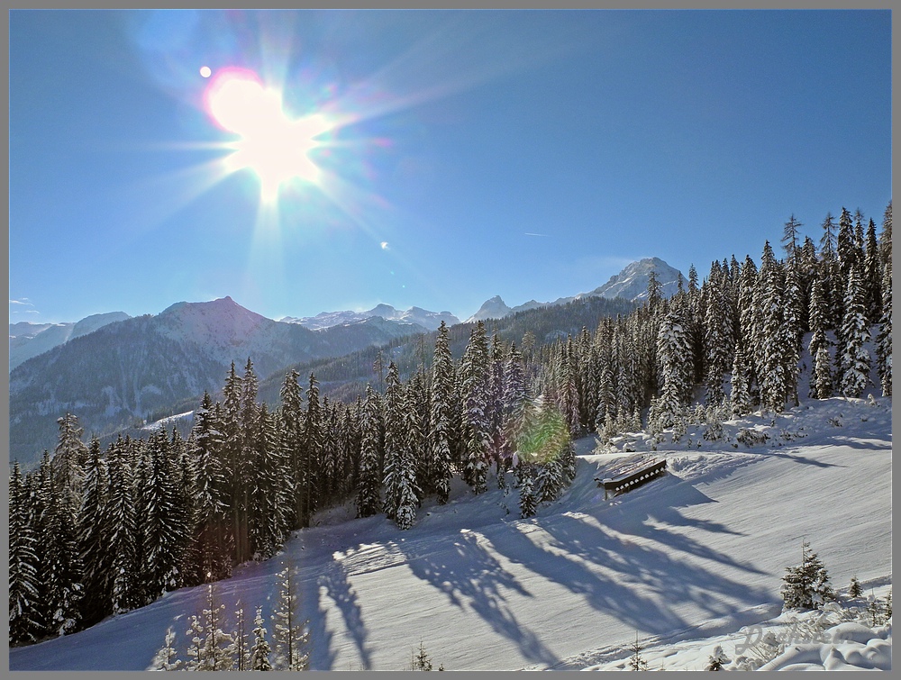 dscn9627a9qesn.jpg