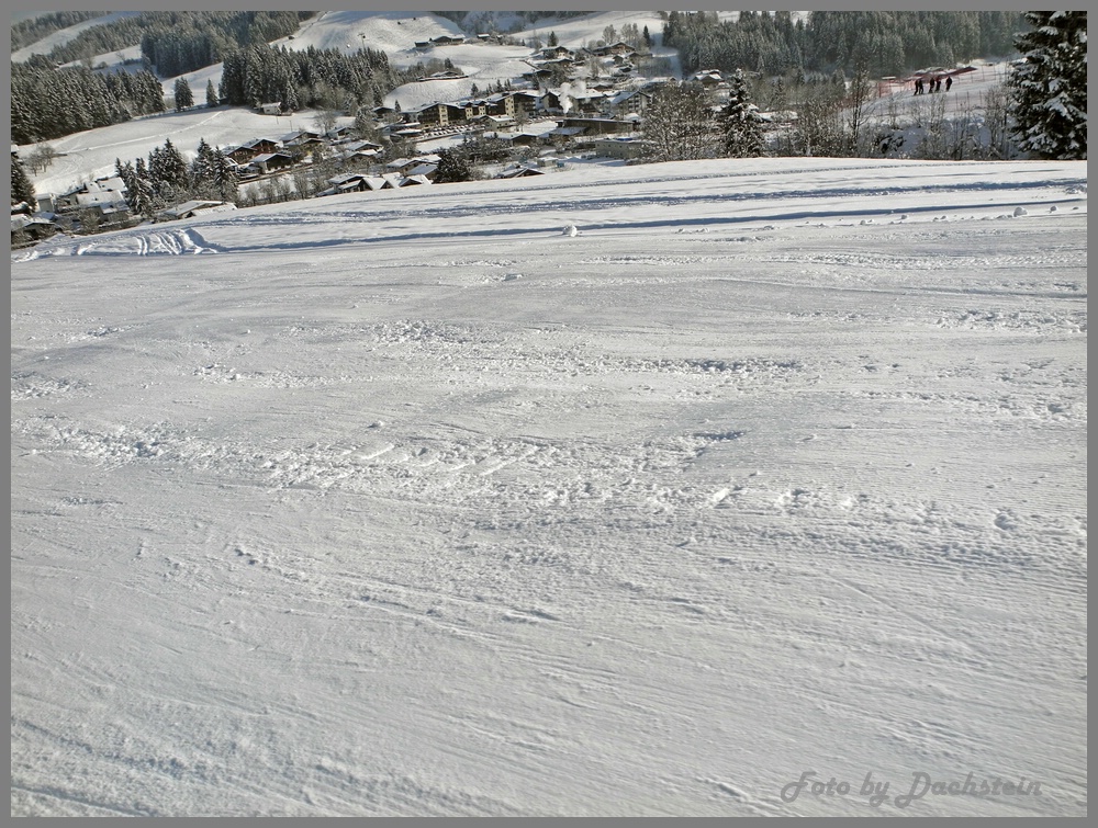 dscn9809aerpxt.jpg