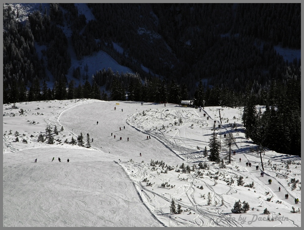 dscn9948a0lui7.jpg