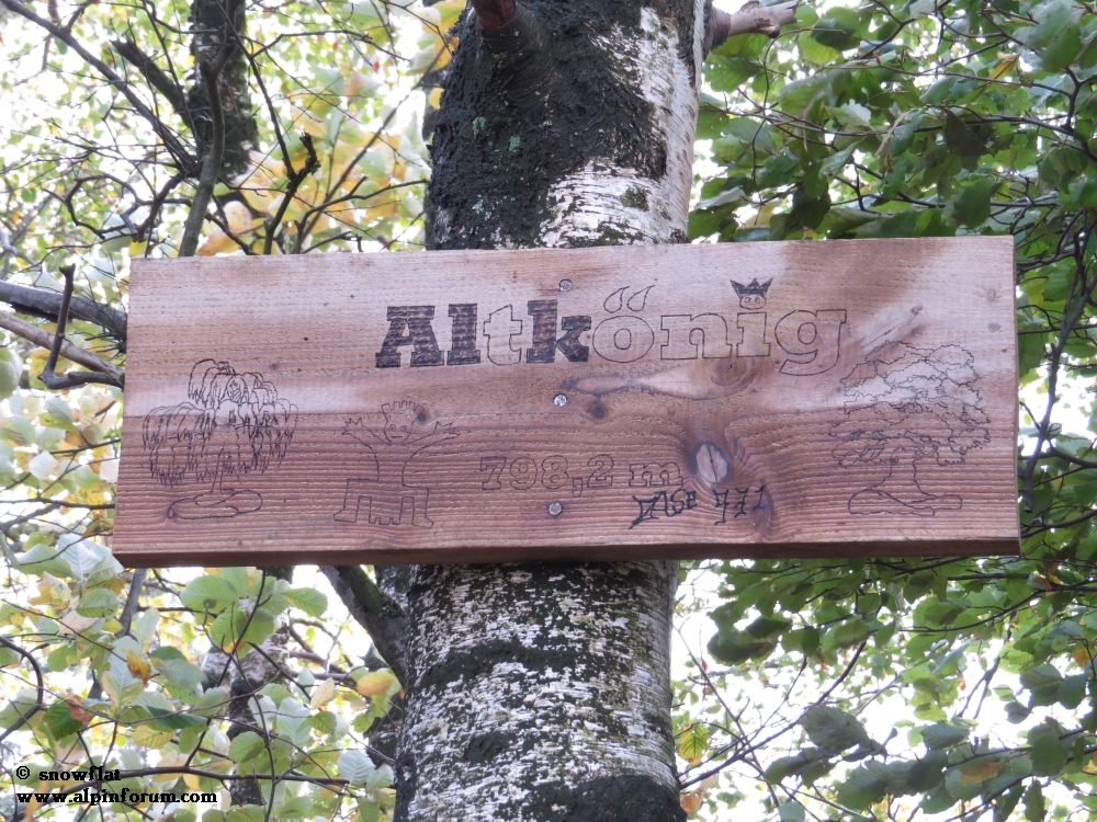bild01hljhe.jpg