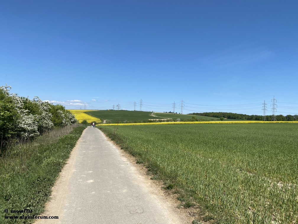 bild01r8j8j.jpg