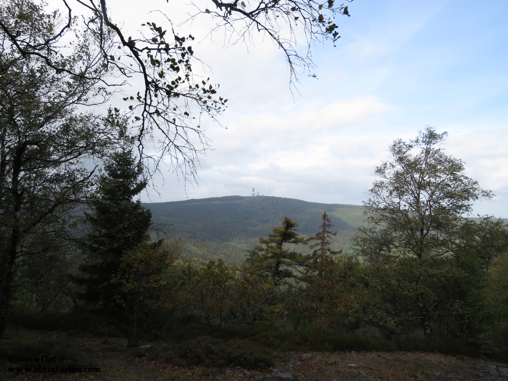 bild02yvjbt.jpg