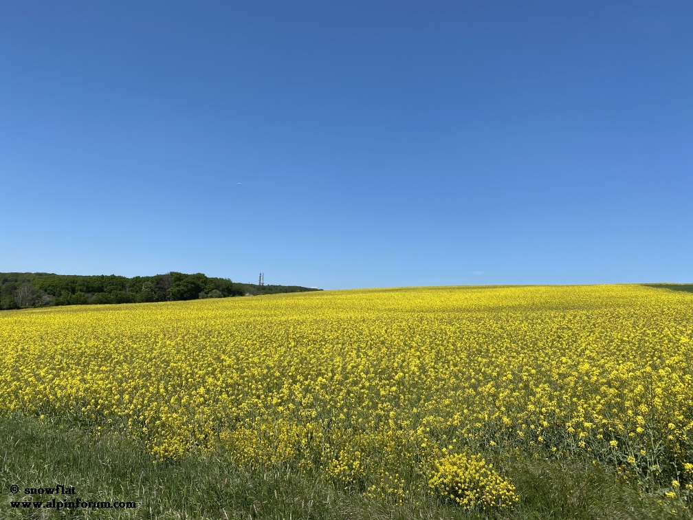 bild03p1ktl.jpg