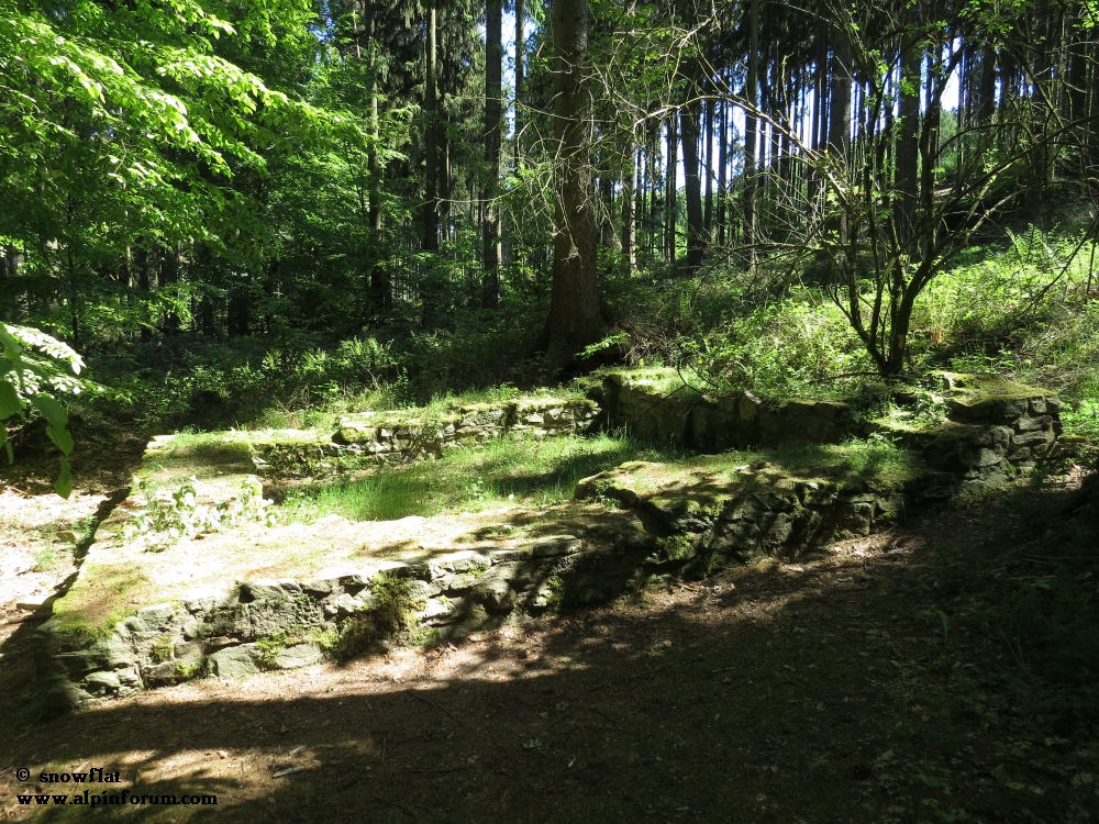 bild04z8j8l.jpg