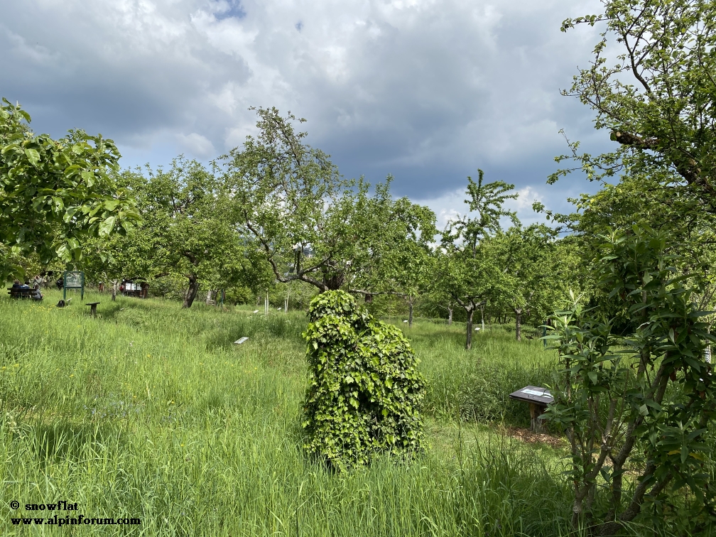 bild055xkn5.jpg