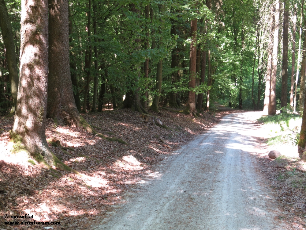 bild068jkjv.jpg