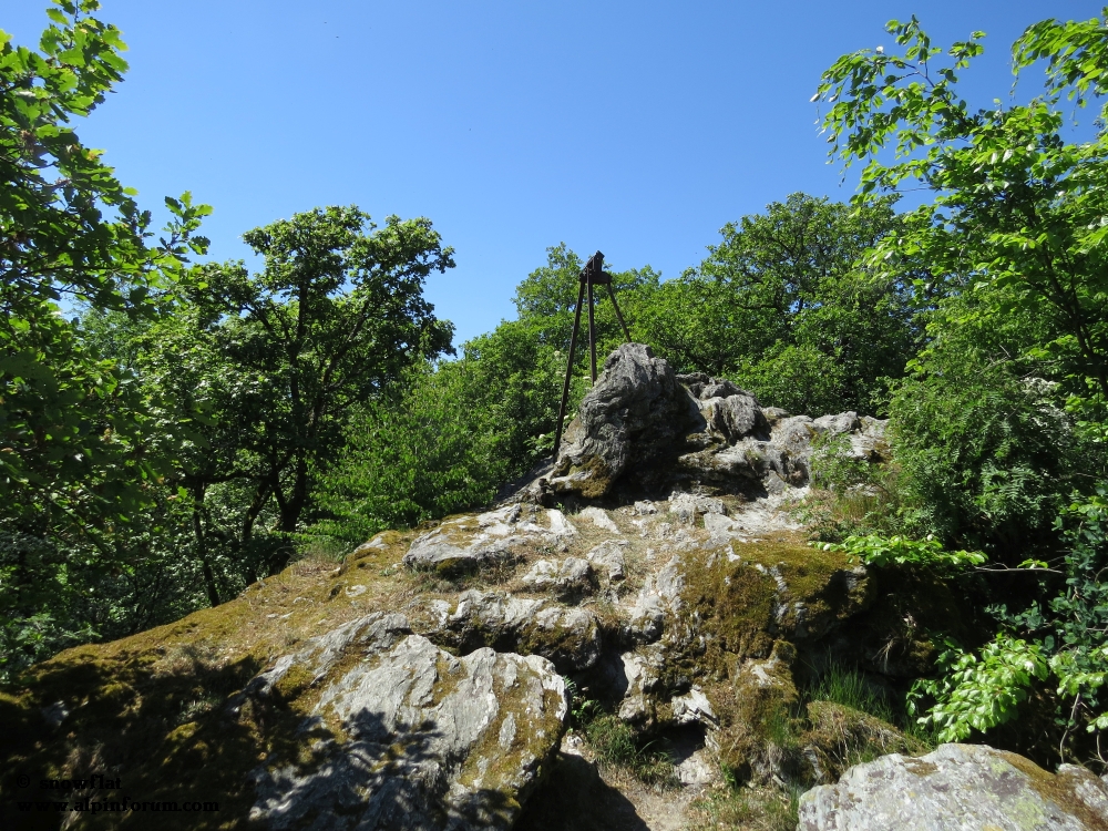 bild09wxk70.jpg
