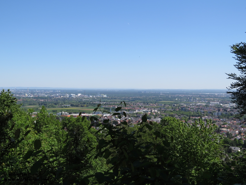 bild12dqjix.jpg