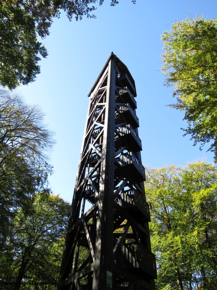 bild1313jrs.jpg