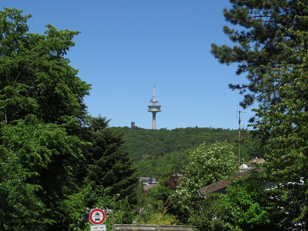 bild13bzk4g.jpg