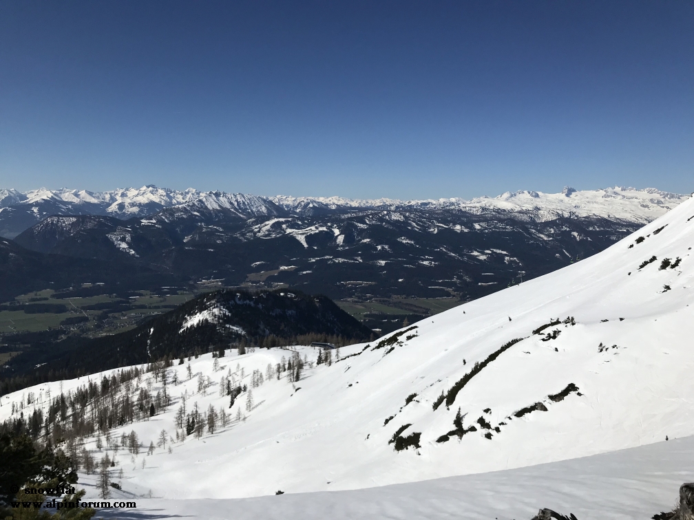 bild217zjsm.jpg