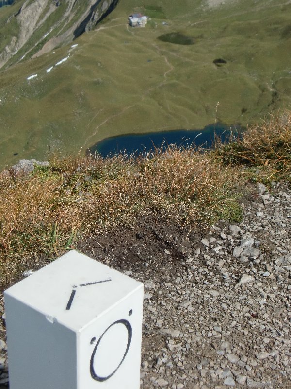 bild460mi22.jpg