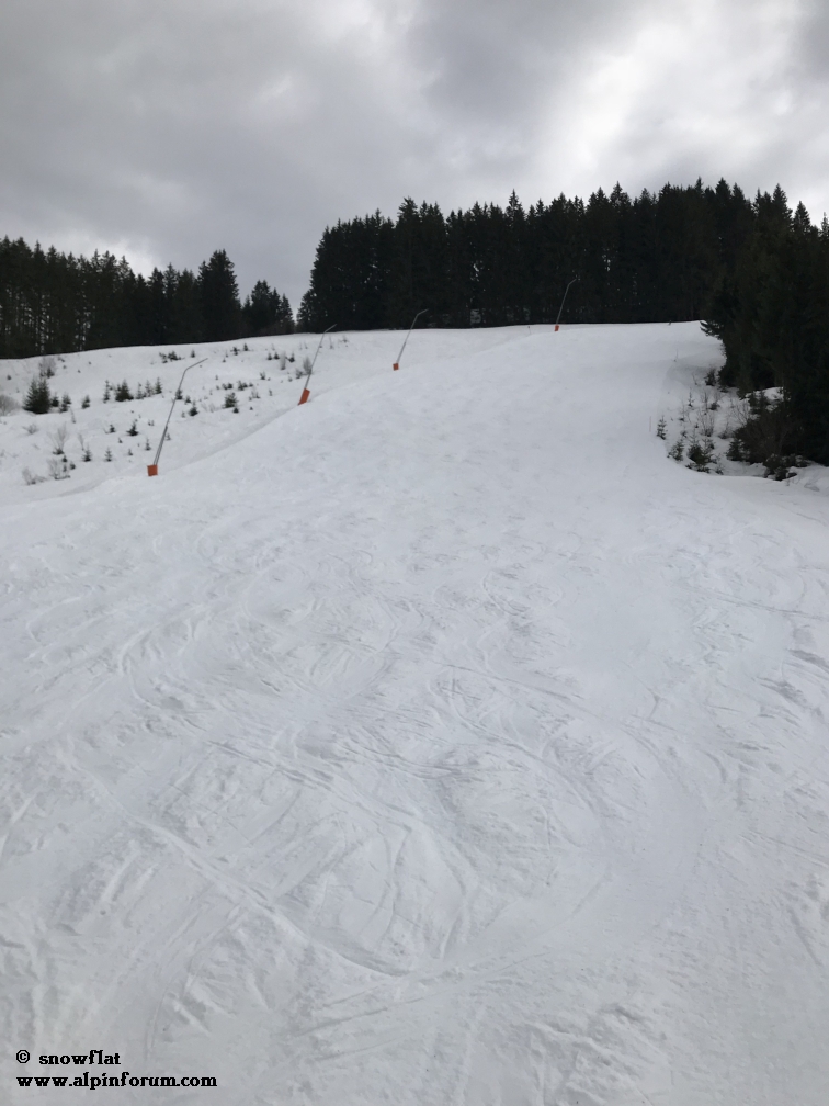 bild556qjms.jpg