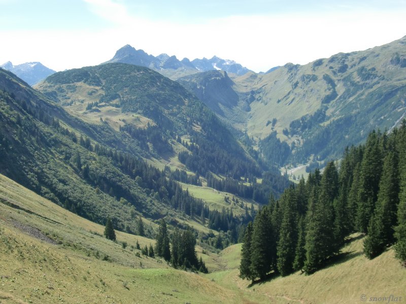 bild56s8d5i.jpg