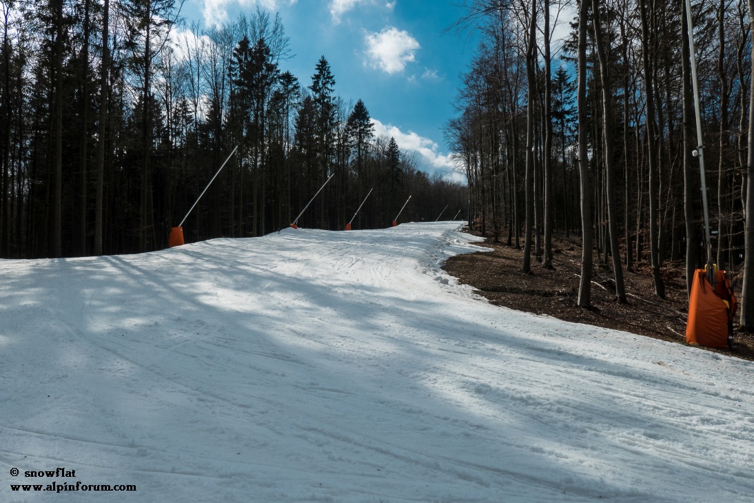 bild77cqj33.jpg