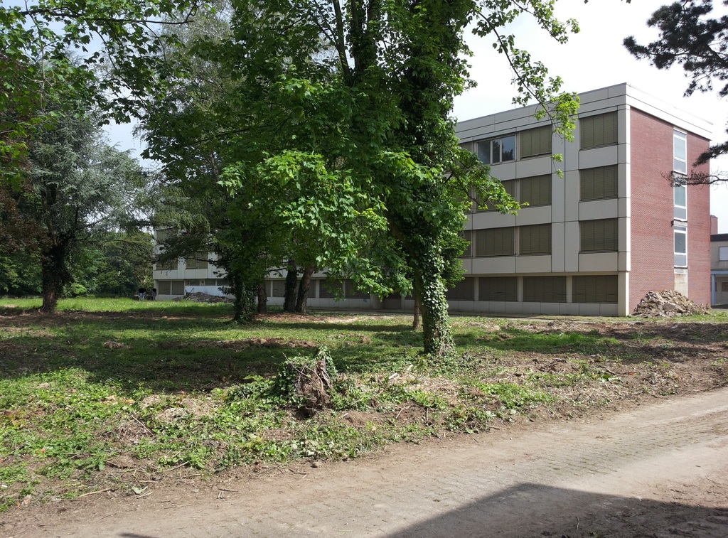 20140517_113016druem.jpg