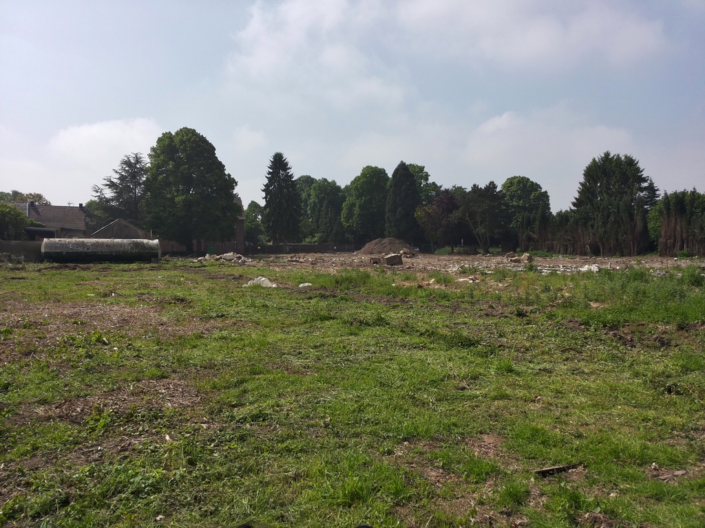 20140517_113225b4s90.jpg