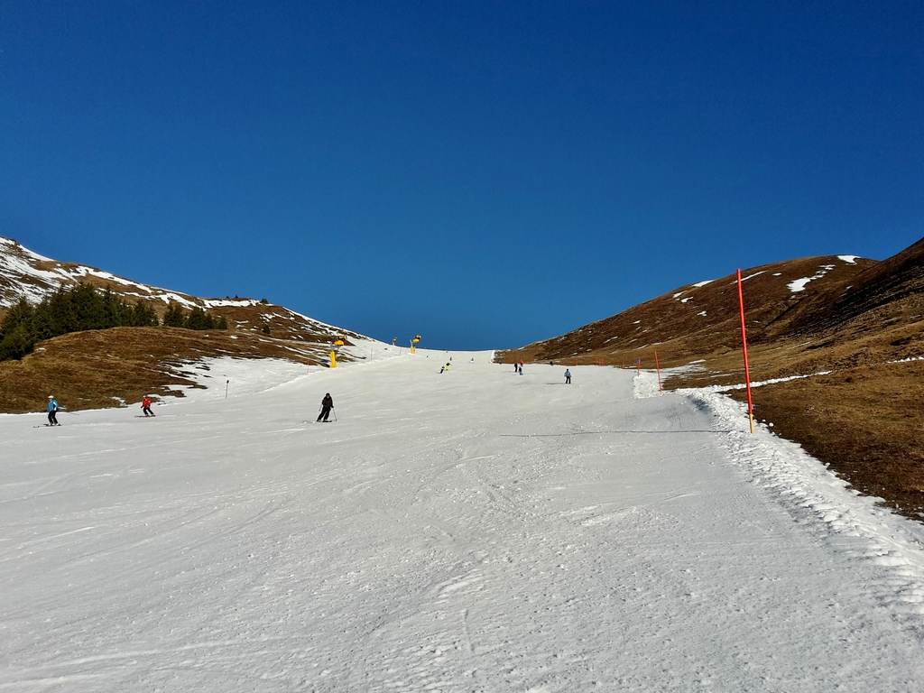 20151229_092647misax.jpg